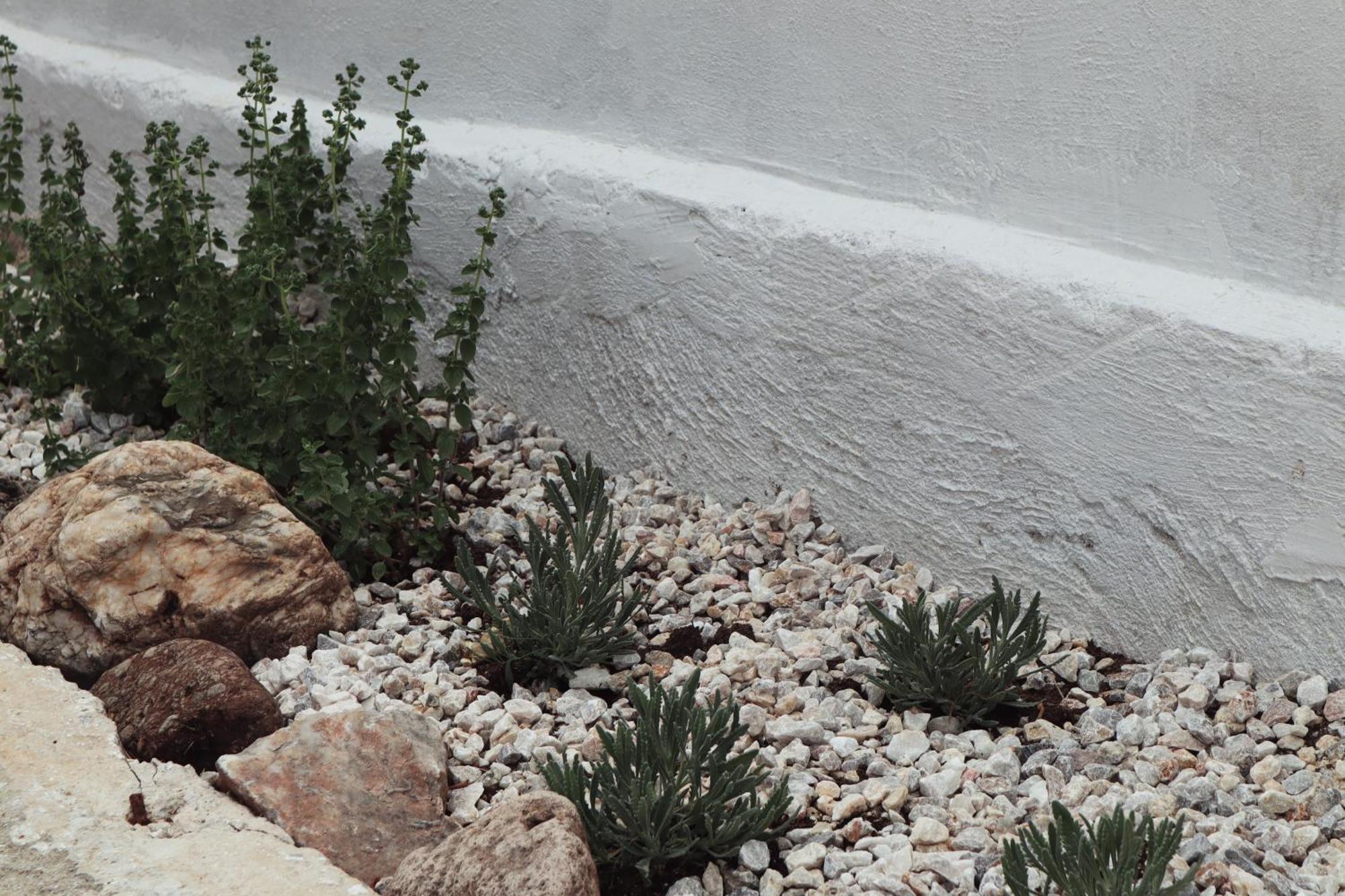 Elea * Spilia (Crete)